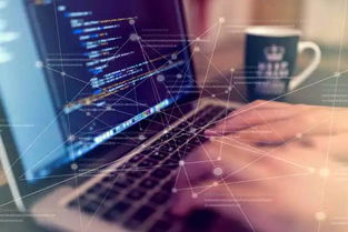 你真的适合学习编程吗？信息科技领域技术开发职业探索指南